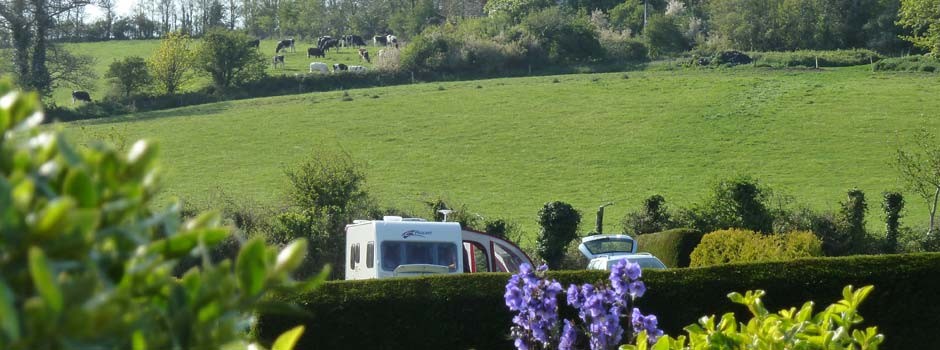caravan and awning on pitch 19 with fields and cows behind