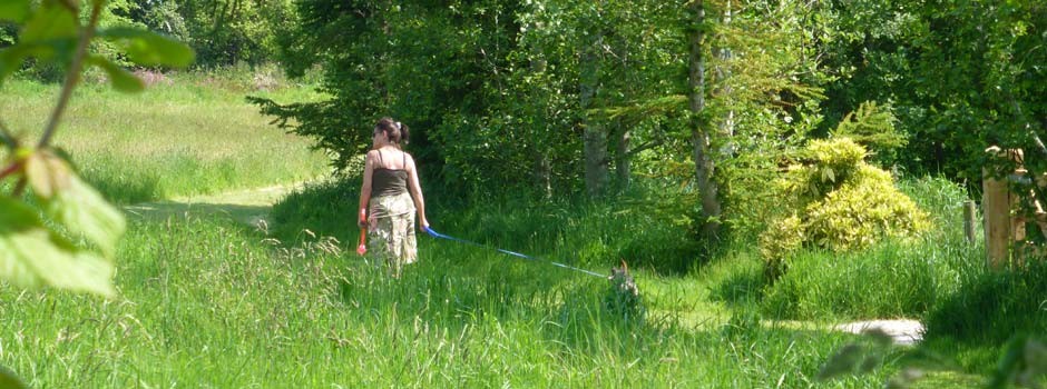 woman and dog enjoying the dog and nature walk