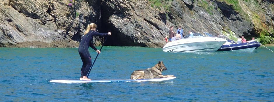 woman and alsatian dog out on the water on a stand-up paddleboard