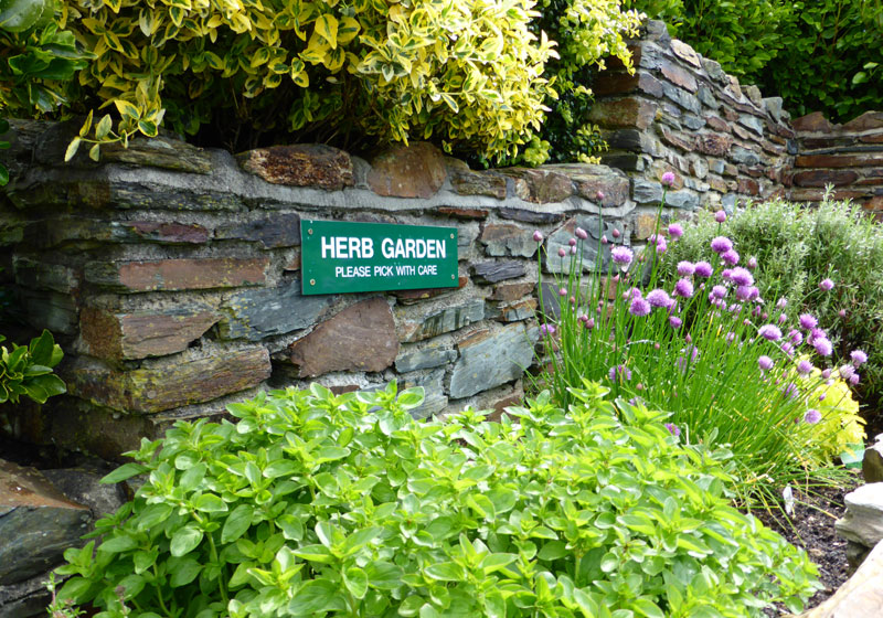 pick your own herb garden