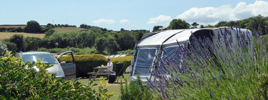 a view across the Park