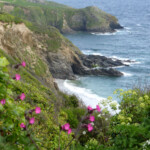 enjoy coastal walks enjoy coastal walks