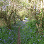footpath to Portscatho footpath to Portscatho