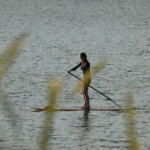 have a go at paddle-boarding