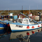 Mevagissey harbour