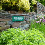 pick your own herb garden pick your own herb garden