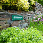 pick your own herb garden