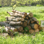 wildlife habitat stack