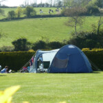 grass pitch 43 grass pitch 43